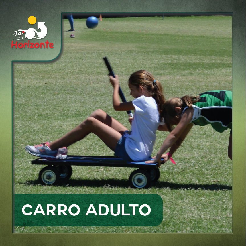 CARRO ADULTO