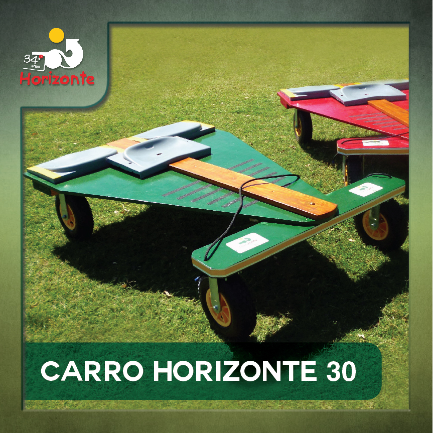CARRO HORIZONTE 30