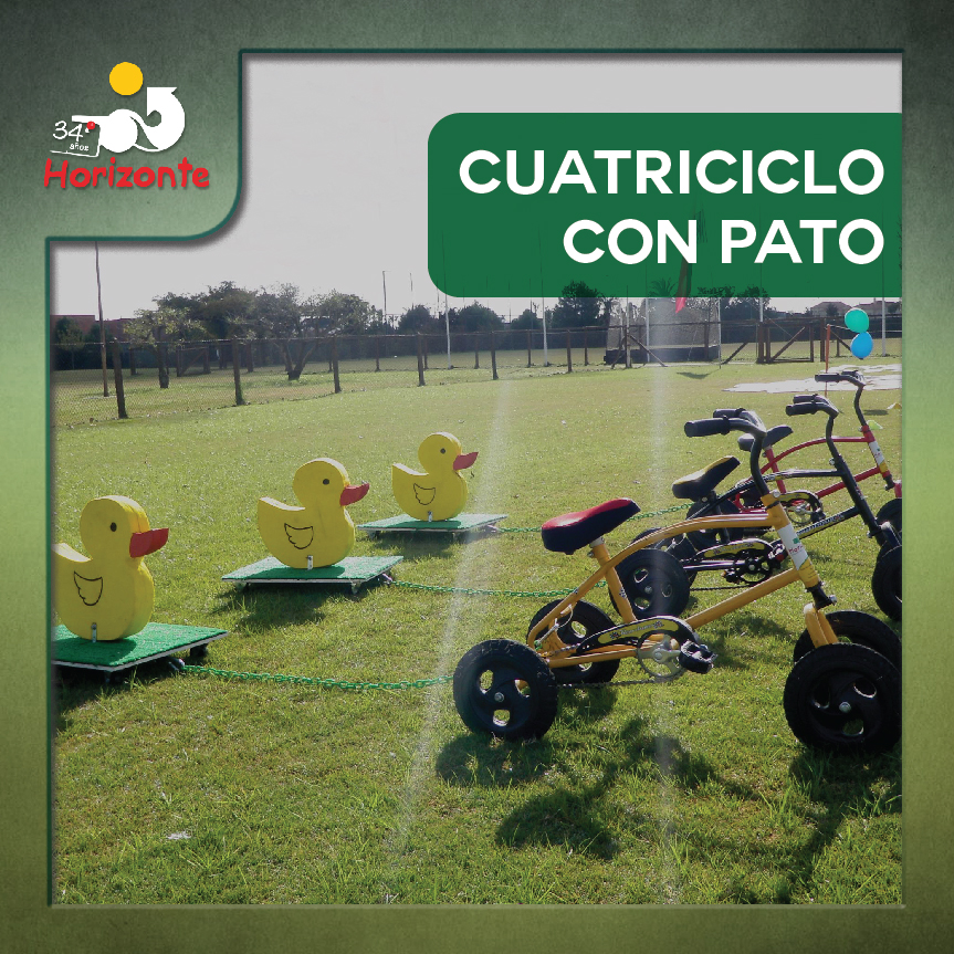CUATTRICICLO CON PATO