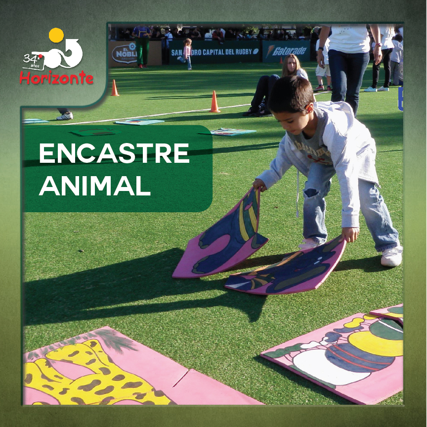 ENCASTRE ANIMAL